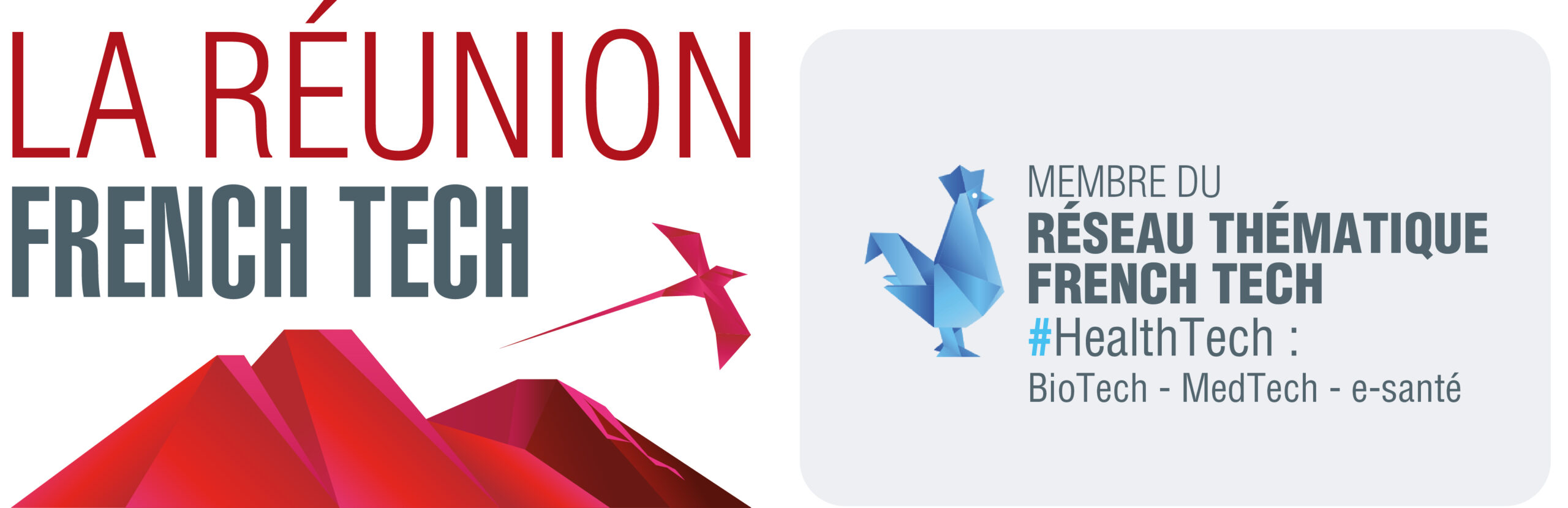Logo de La Réunion French Tech, membre du réseau thématique #HealthTech.