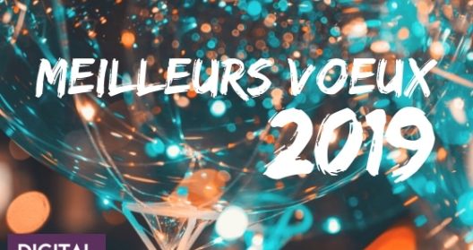 Carte de vœux 2019 avec texte "Meilleurs Vœux" et logo Digital Reunion.
