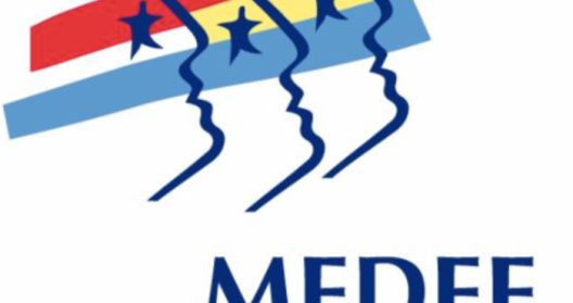 Logo du MEDEF Réunion avec profils stylisés et étoiles.