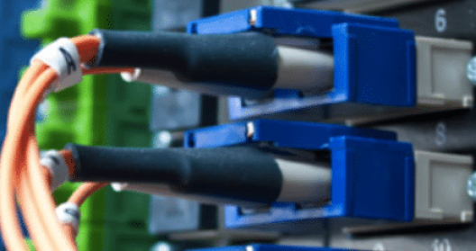 Câbles fibre optique connectés à un panneau de distribution réseau.