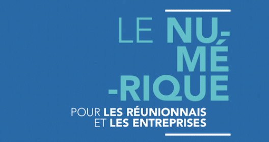 Texte : "Le numérique pour les Réunionnais et les entreprises".
